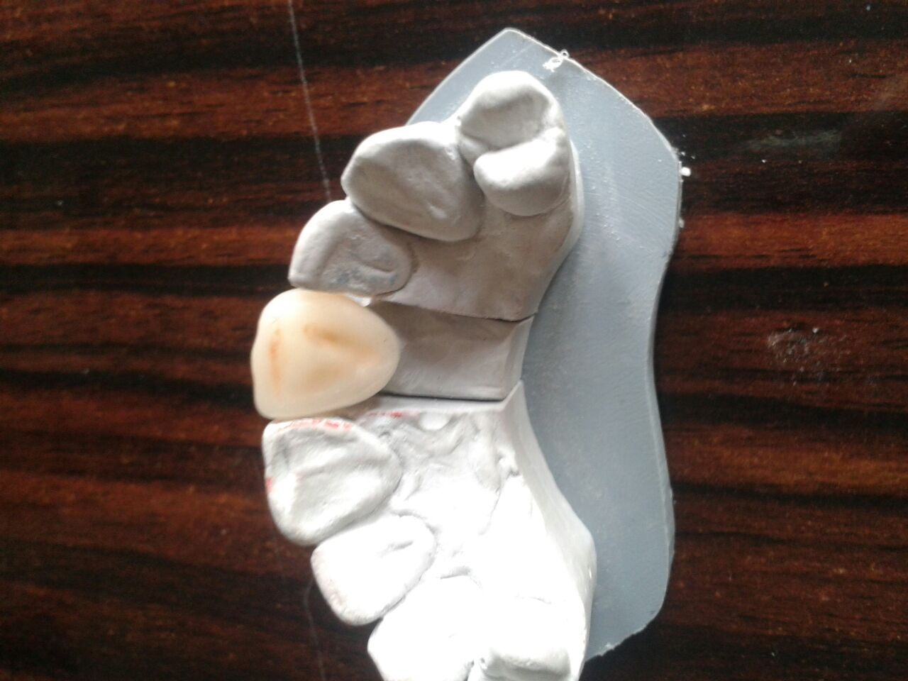 DeathtoStock_SlowDown6